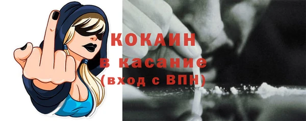 твердый Осташков
