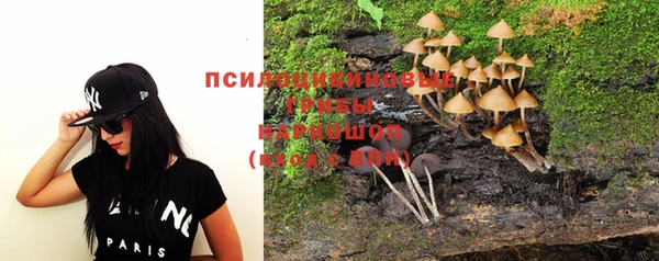 крисы Пестово