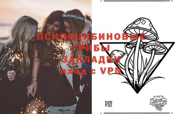крисы Пестово
