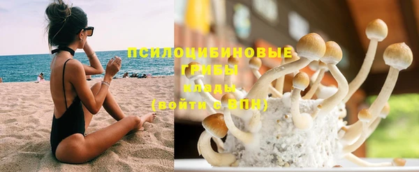 крисы Пестово
