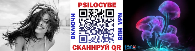 кракен онион  где купить наркоту  Кизилюрт  Псилоцибиновые грибы мухоморы 