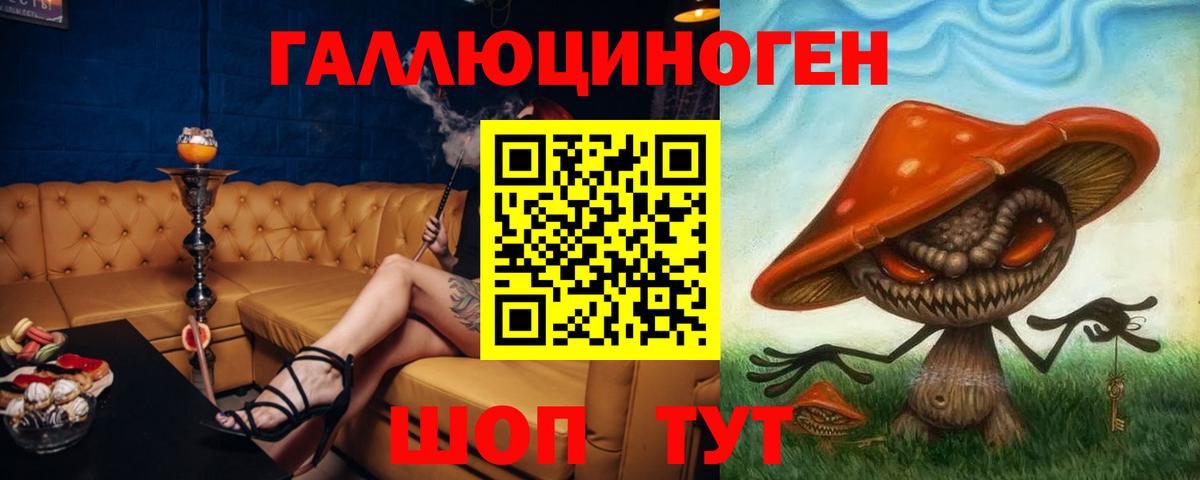 Галлюциногенные грибы GOLDEN TEACHER  Вход с VPN  Галлюциногенные грибы Psilocybe  Кизилюрт 