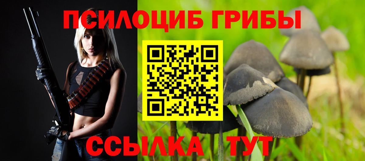 Псилоцибиновые грибы Psilocybine cubensis  Кизилюрт  Галлюциногенные грибы мицелий 